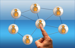 开云体育登录网站入口-冠军球队社会责任项目获社区高度评价与广泛参与，冠军组织的定义